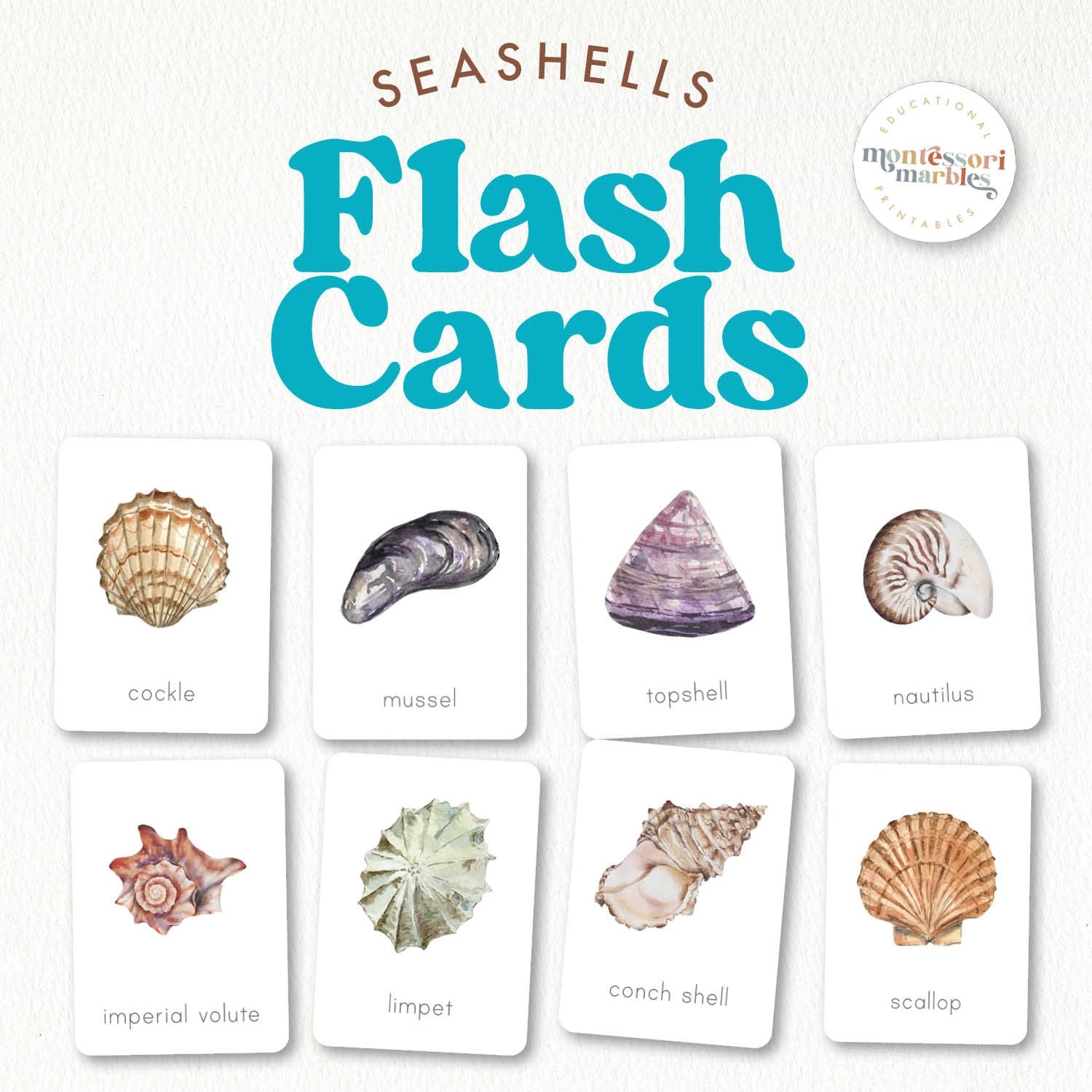 SEASHELLS Flash Cards Montessori Inspired Printable Vocabulary Cards Preschool Activity Montessori Printable Summer Theme Etsy
