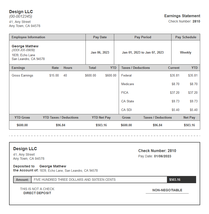 Silver Coat Paystub Template Free Sample Pay Stub Template