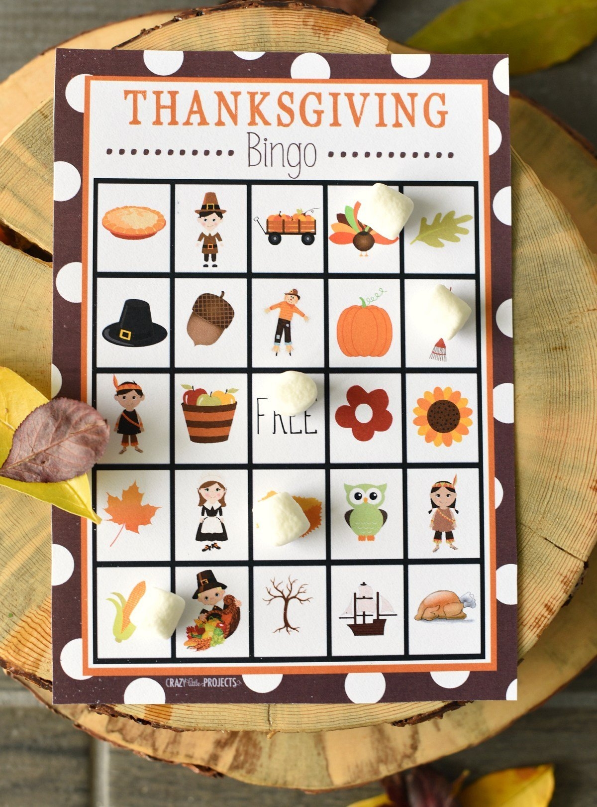 Thanksgiving Bingo Game Crazy Little Projects