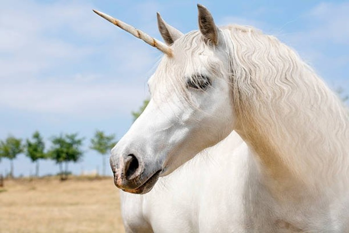 Unicorn Coloring Pages 25 Free Printable Sheets For Kids Parade
