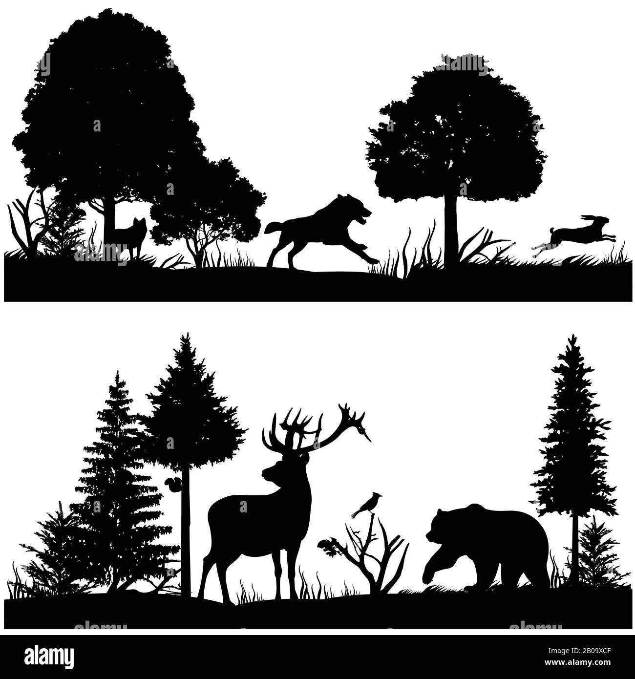 Wild Animals Silhouettes In Green Fir Forest Vector Illustration Silhouette Of Animal In Nature Wood Tree Pine And Animals Stock Vector Image Art Alamy
