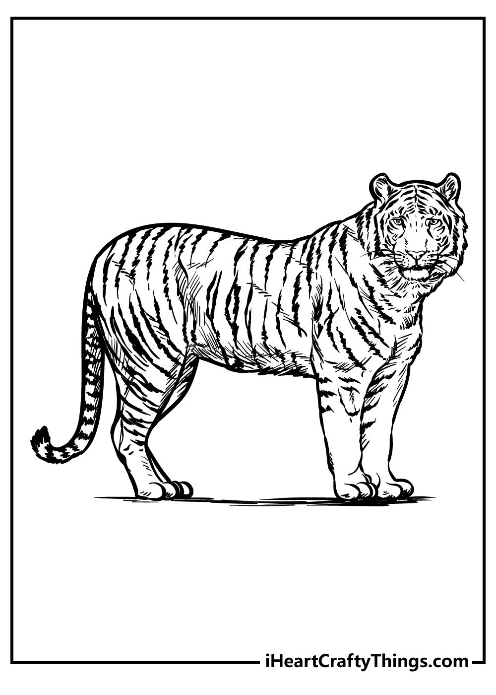 Zoo Animals Coloring Pages 100 Free Printables 
