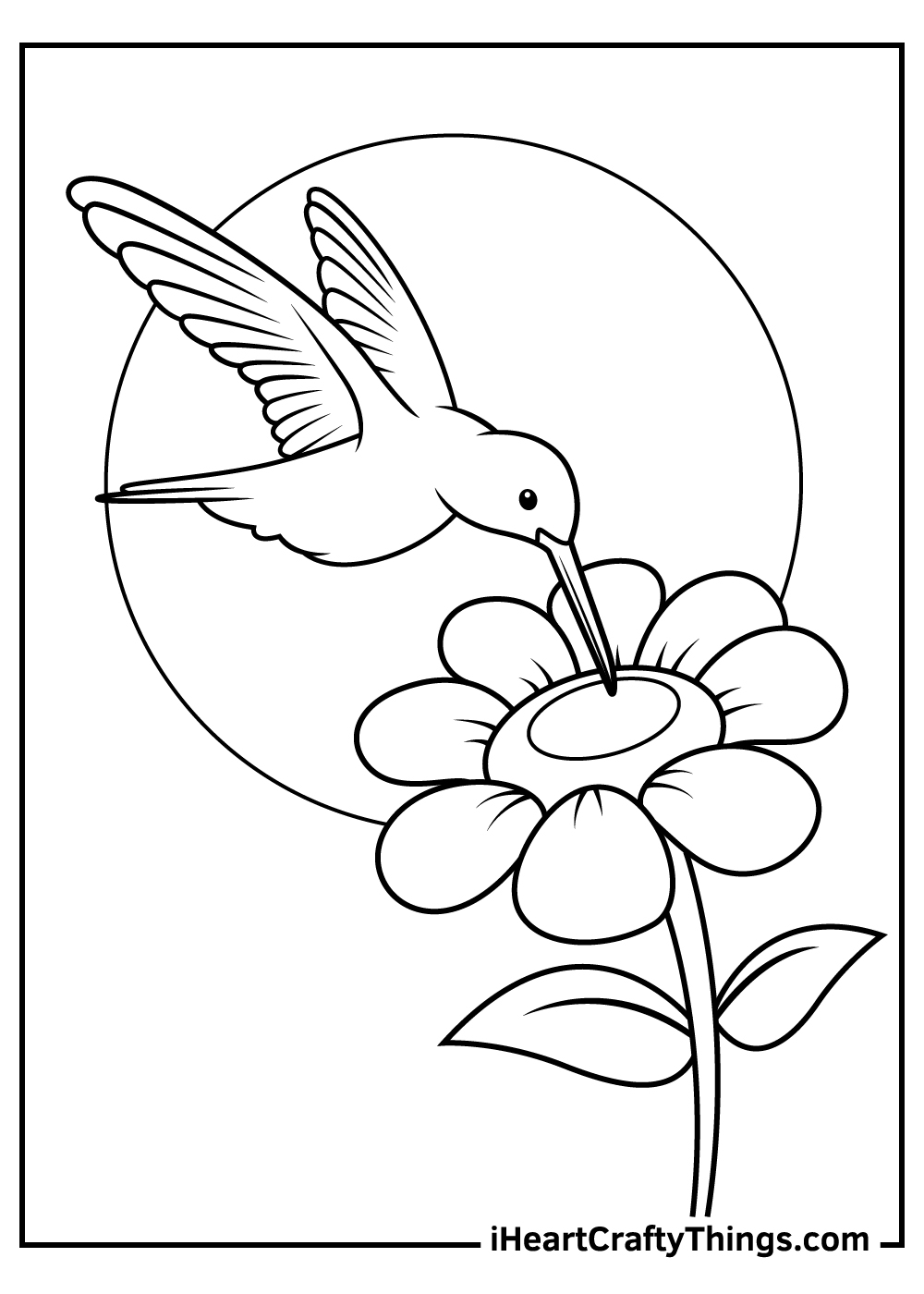 15 Hummingbird Coloring Pages 100 Free Printables 