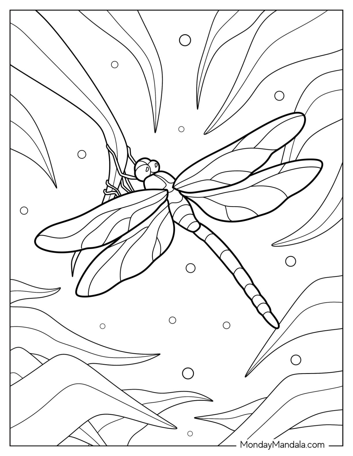 20 Dragonfly Coloring Pages Free PDF Printables 