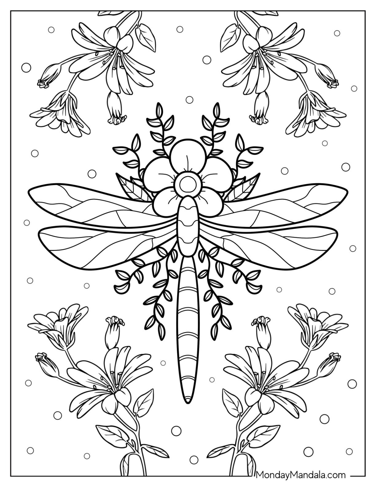 Free Printable Coloring Pages Dragonflies