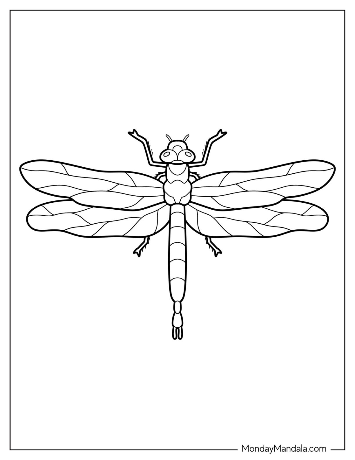 20 Dragonfly Coloring Pages Free PDF Printables 