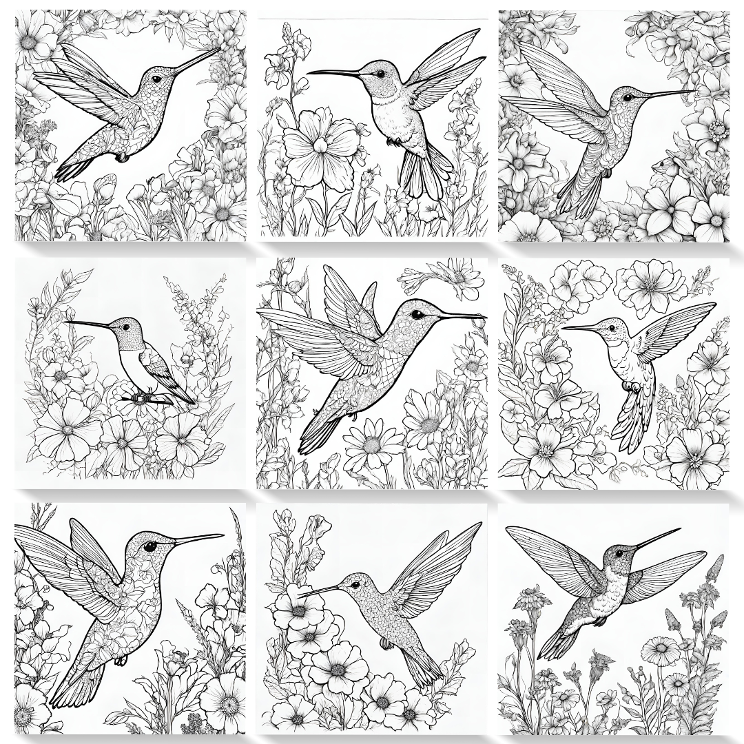 32 Free Hummingbird Coloring Pages A Sparkle Of Genius