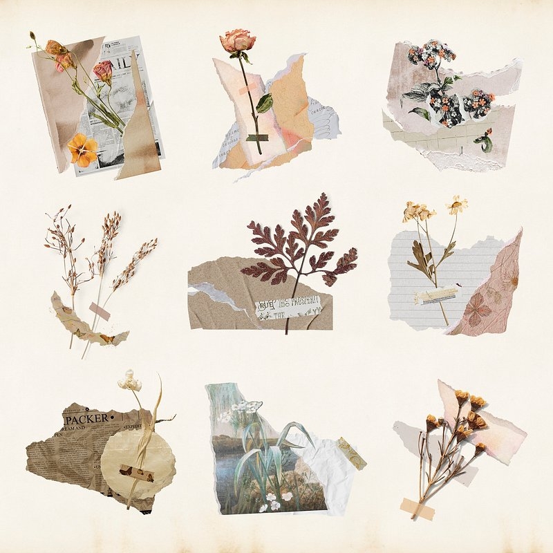 Aesthetic Journal Printable Stickers Images Free Photos PNG Stickers Wallpapers Backgrounds Rawpixel