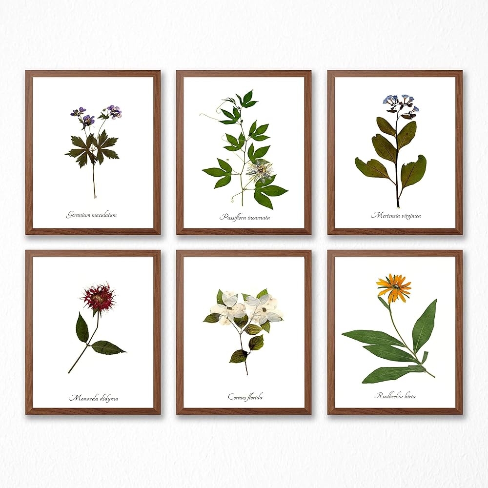 Free Printable Botanical Art