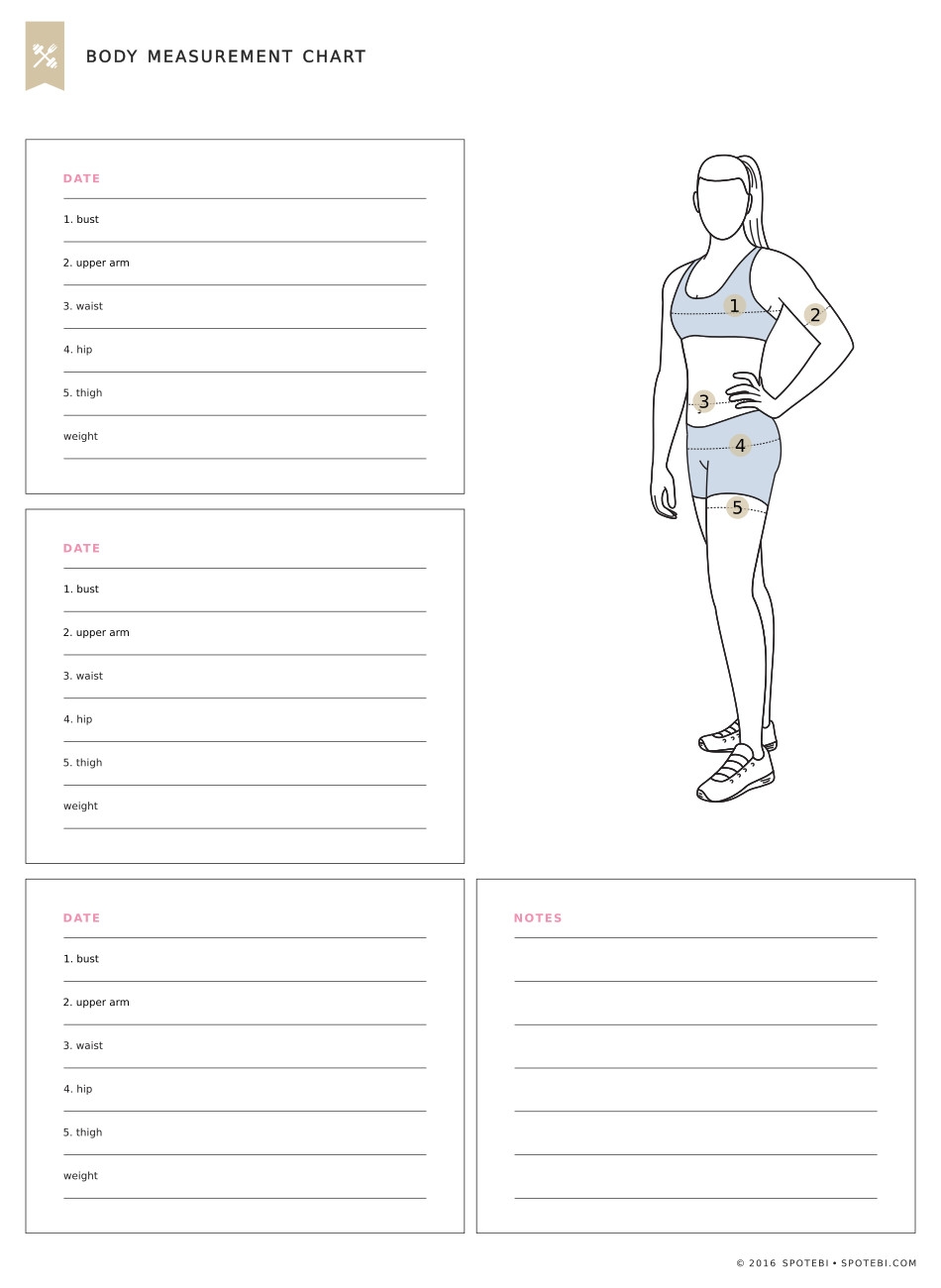 Body Measurement Chart Fitness Tracker