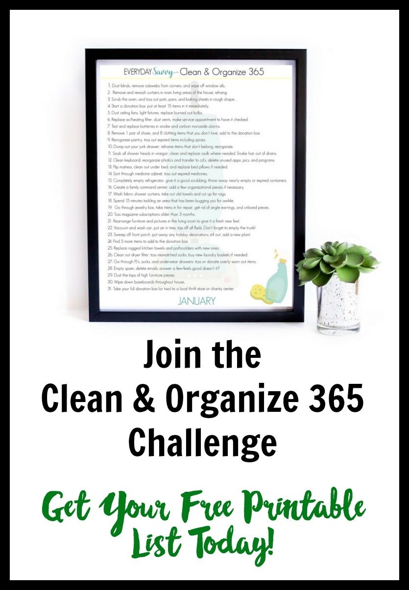 Clean And Organize 365 February Everyday Savvy