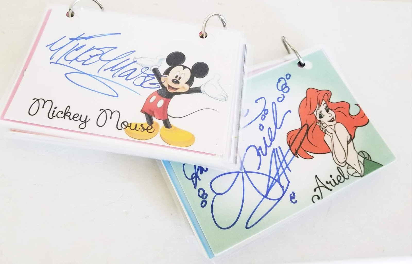 Free Printable Disney Autograph Pages