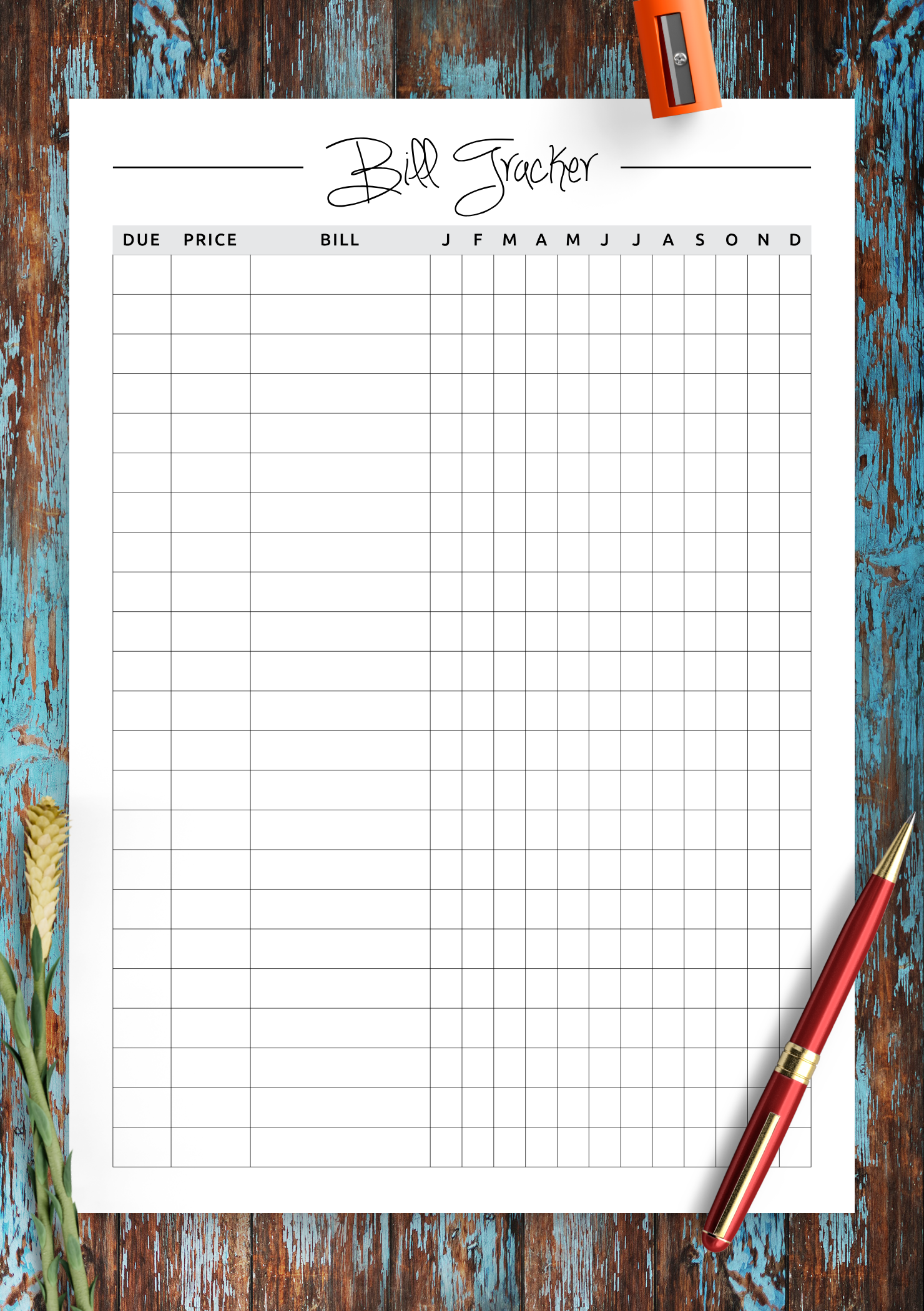 Free Printable Bill Organizer Pdf
