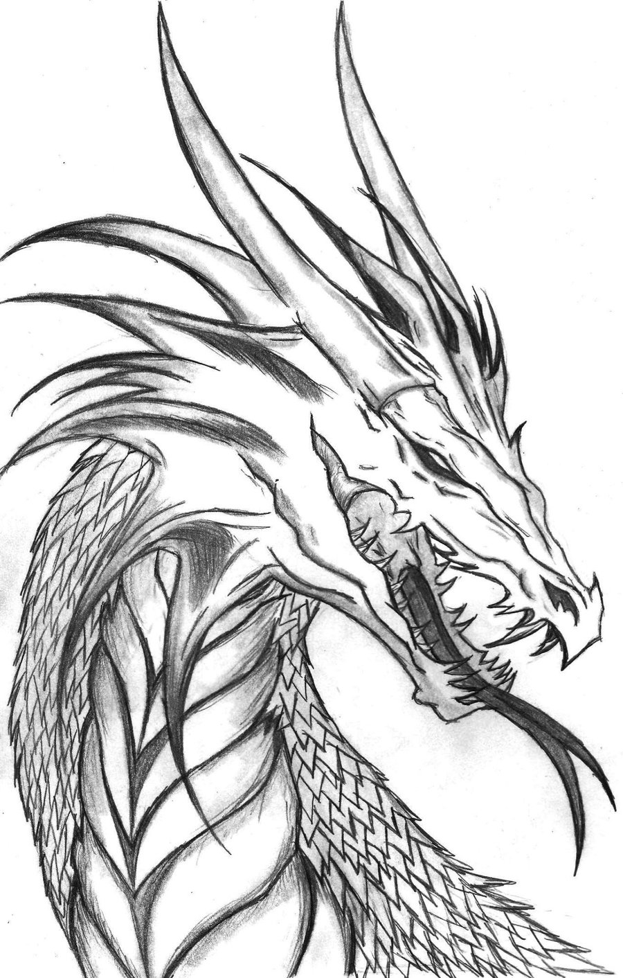 Free Printable Coloring Pages Dragons