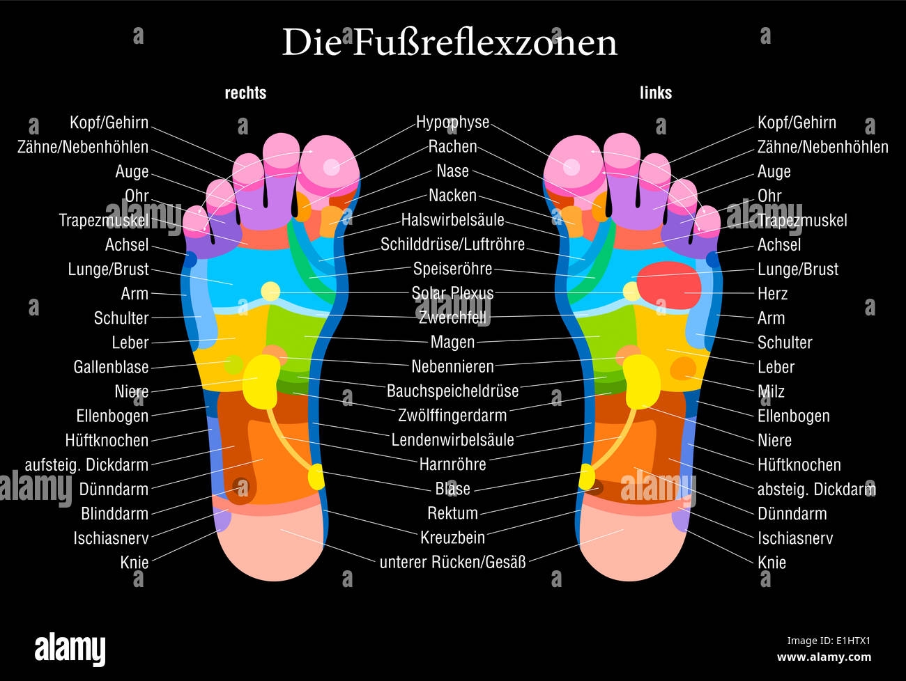 Foot Reflexology Chart With Accurate Description Of The Corresponding Internal Organs And Body Parts Stock Photo Alamy