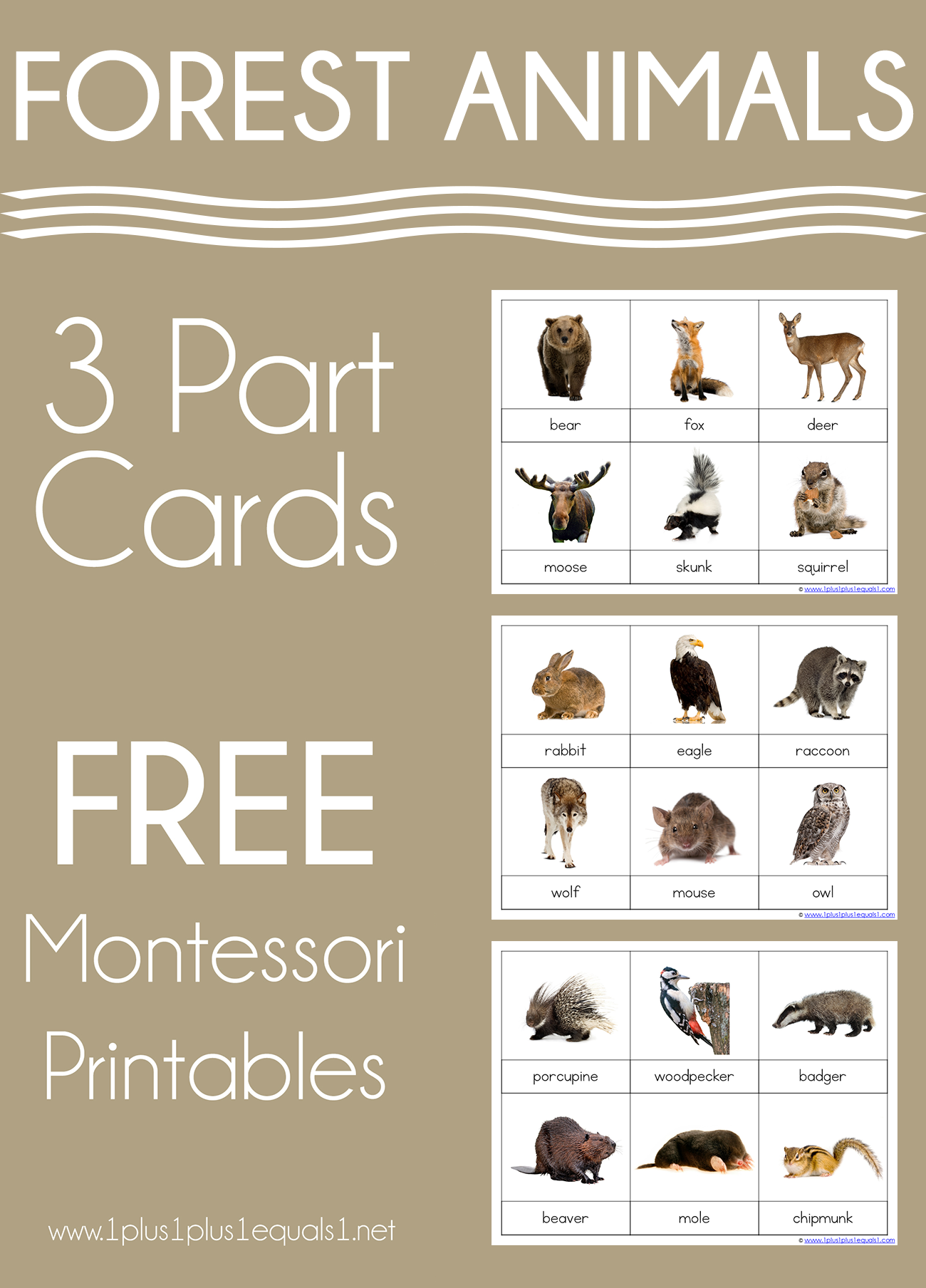 Forest Animals Montessori Printables FREE 3 Part Cards 1 1 1 1