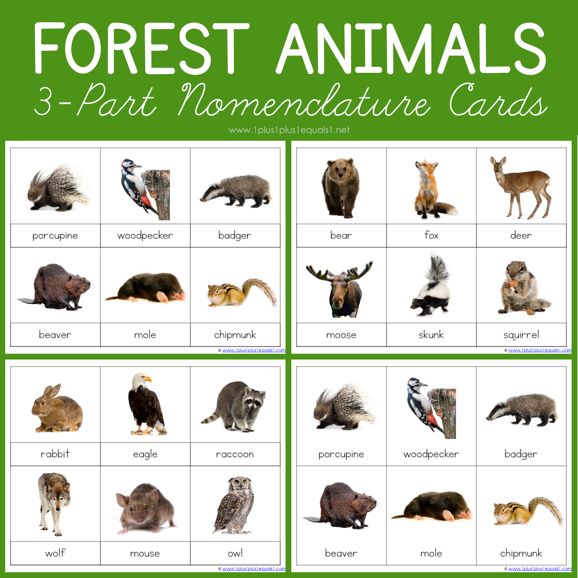 Forest Animals Montessori Printables FREE 3 Part Cards 1 1 1 1