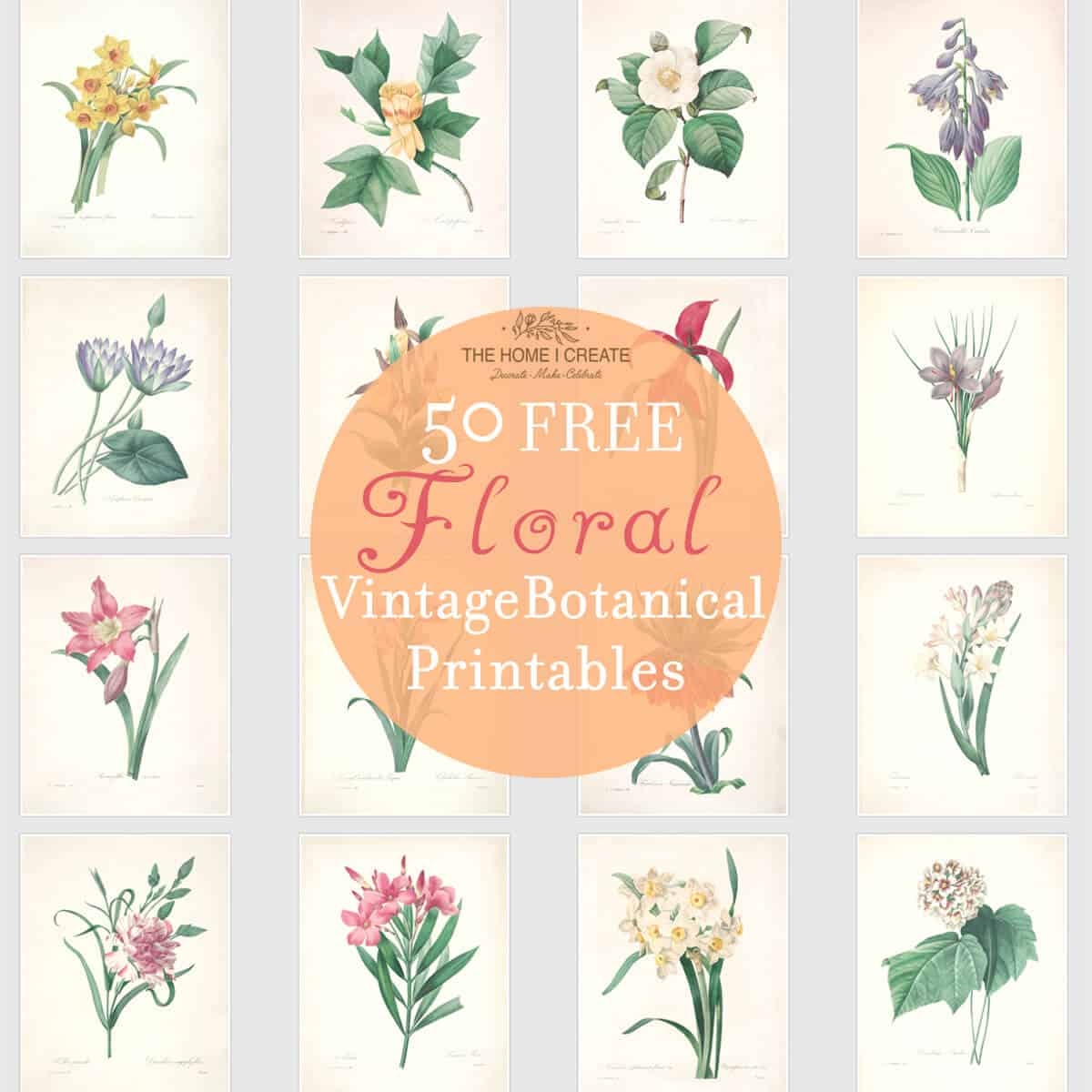 Free Botanical Printable Illustrations