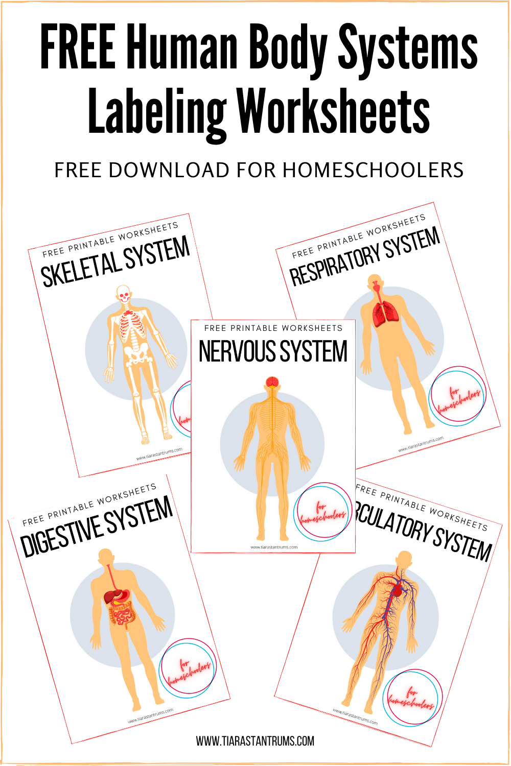 FREE Human Body Systems Labeling Worksheets Tiaras Tantrums