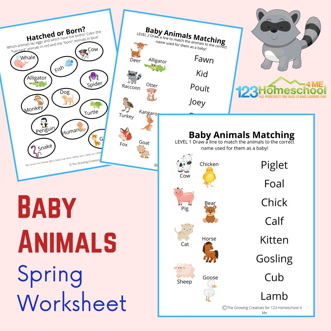  FREE Printable Baby Animals Worksheets