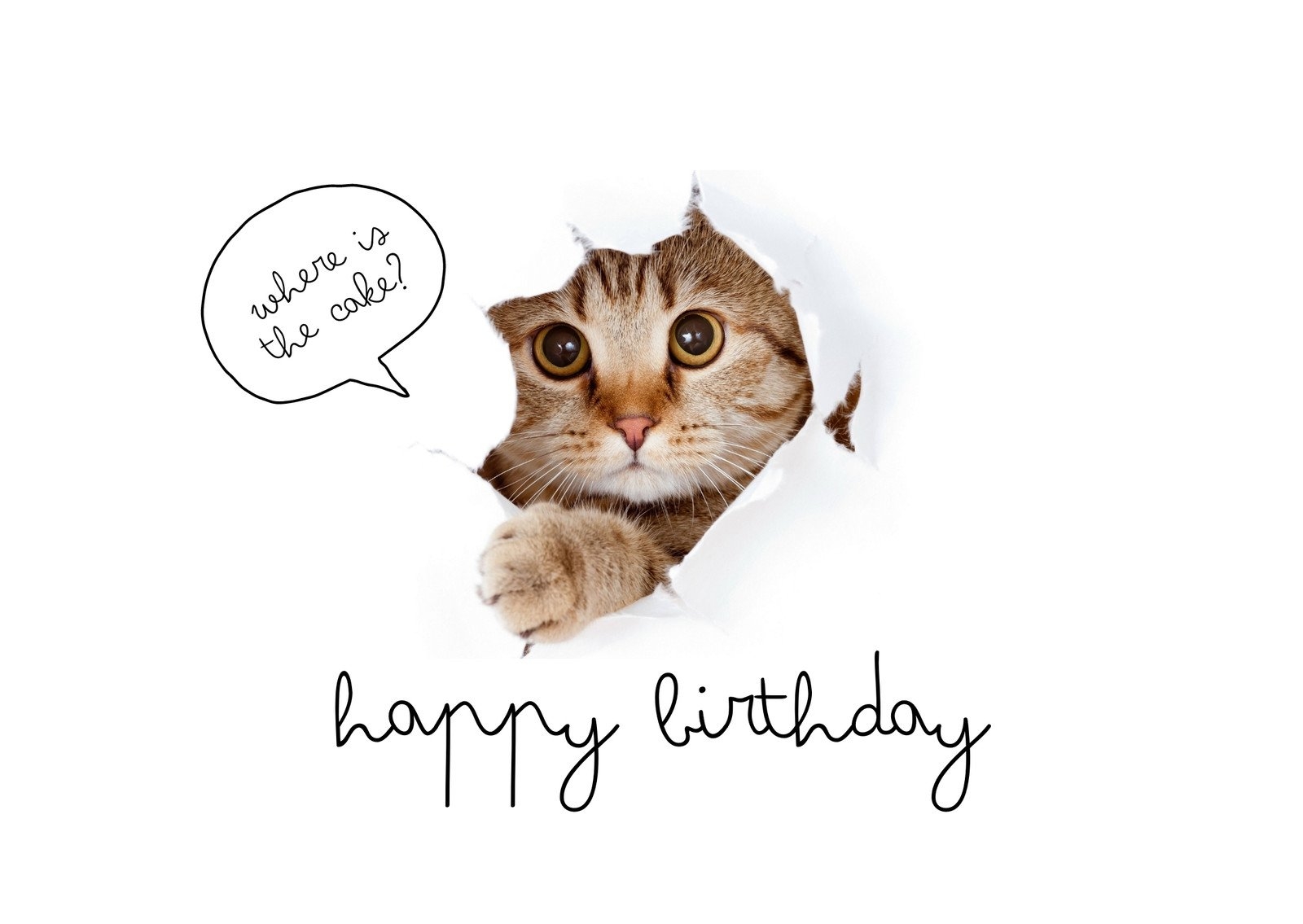 Printable Birthday Cards Sexy Free