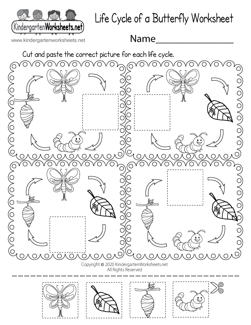 Free Preschool Butterfly Worksheet Printable