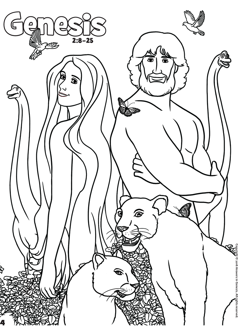 Genesis Books Of The Bible Coloring Kids Coloring Activity Kids Answers