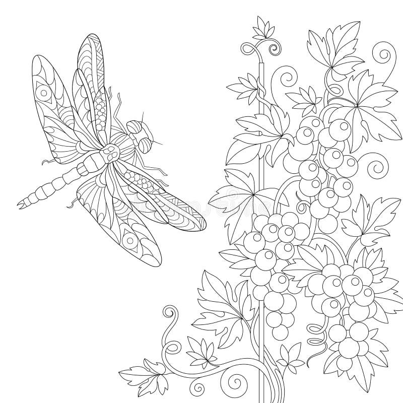 Grape Vine Coloring Stock Illustrations 176 Grape Vine Coloring Stock Illustrations Vectors Clipart Dreamstime