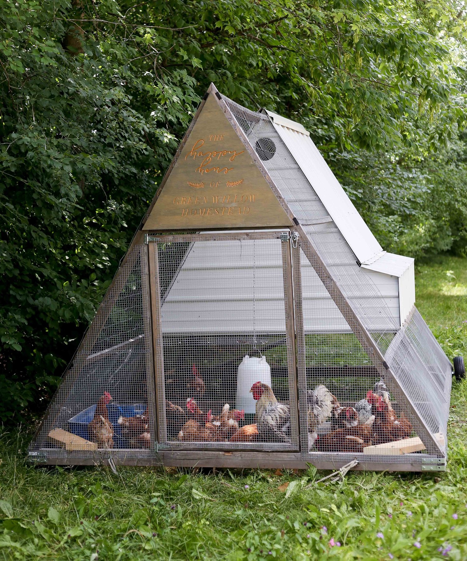 How To Build An A Frame DIY Chicken Tractor That Will Last Green Willow Homestead