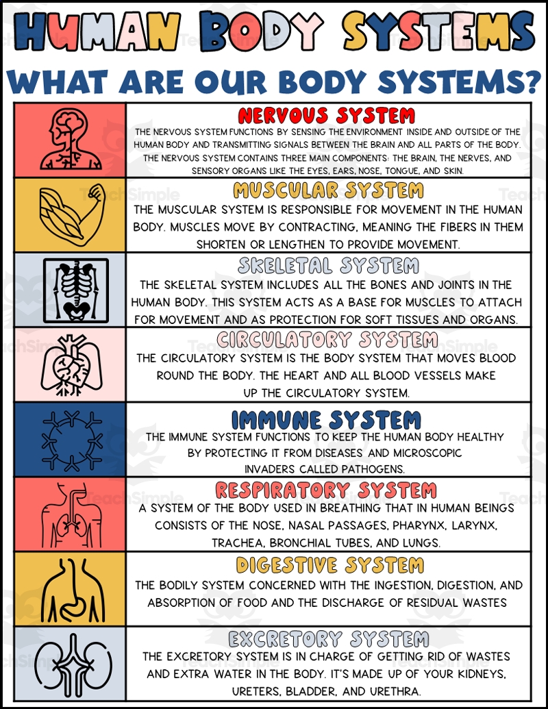 Free Printables Human Body Systems