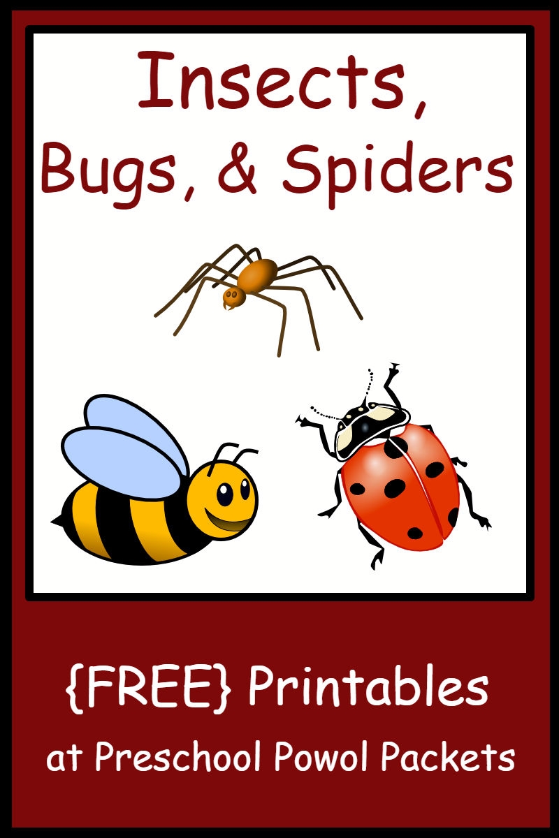 Insect Bug Spider Themed FREE Preschool Printables