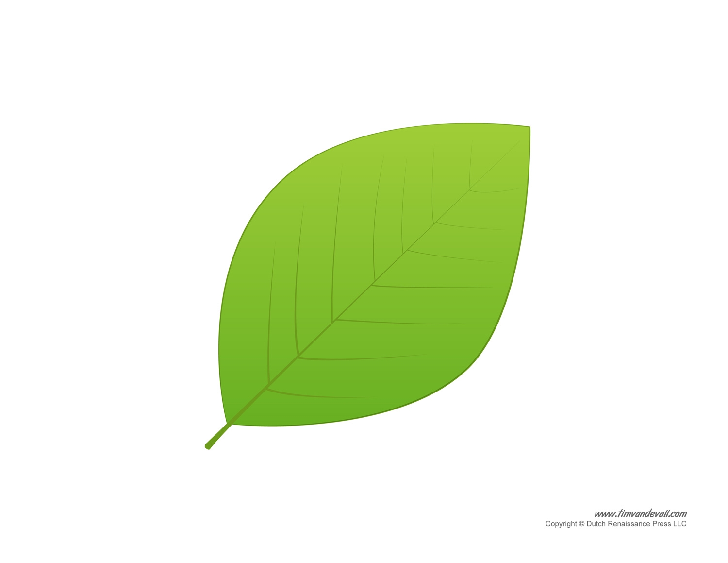 Leaf Templates Leaf Coloring Pages For Kids Leaf Printables