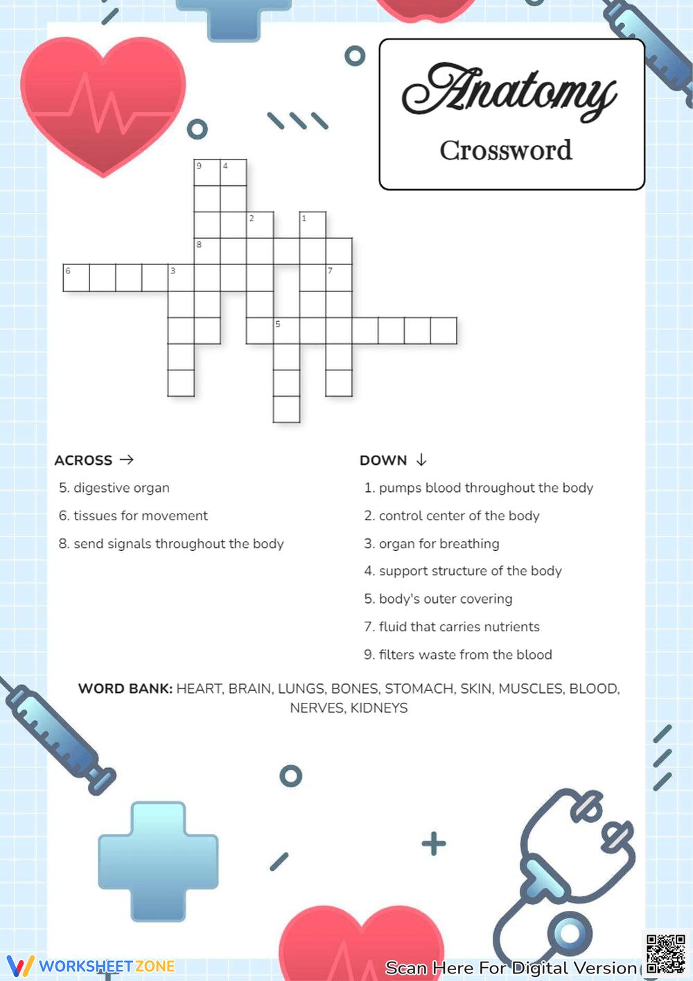 Free Printable Anatomy Crossword Puzzles