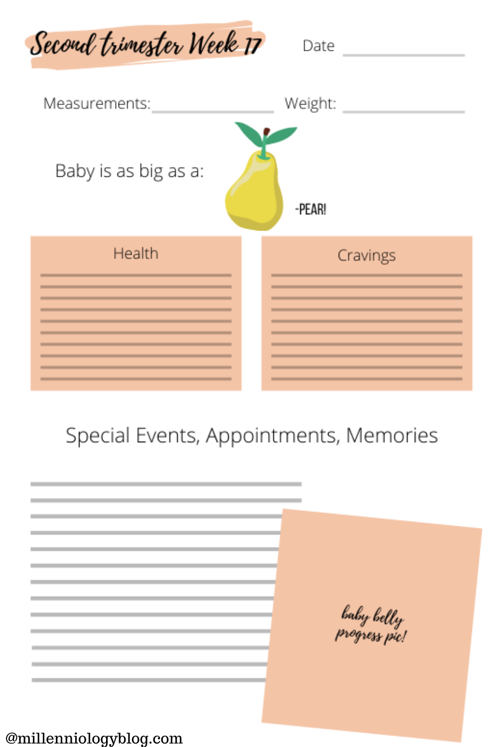 Pregnancy Memory Book Pregnancy Journal Template