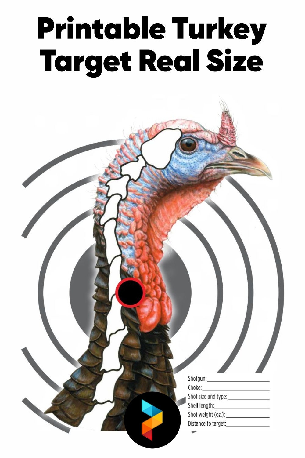 Printable Turkey Targets For Perfect Archery And Shotgun Practice Download Print Email To A Friend Turkey Target Color Etsy
