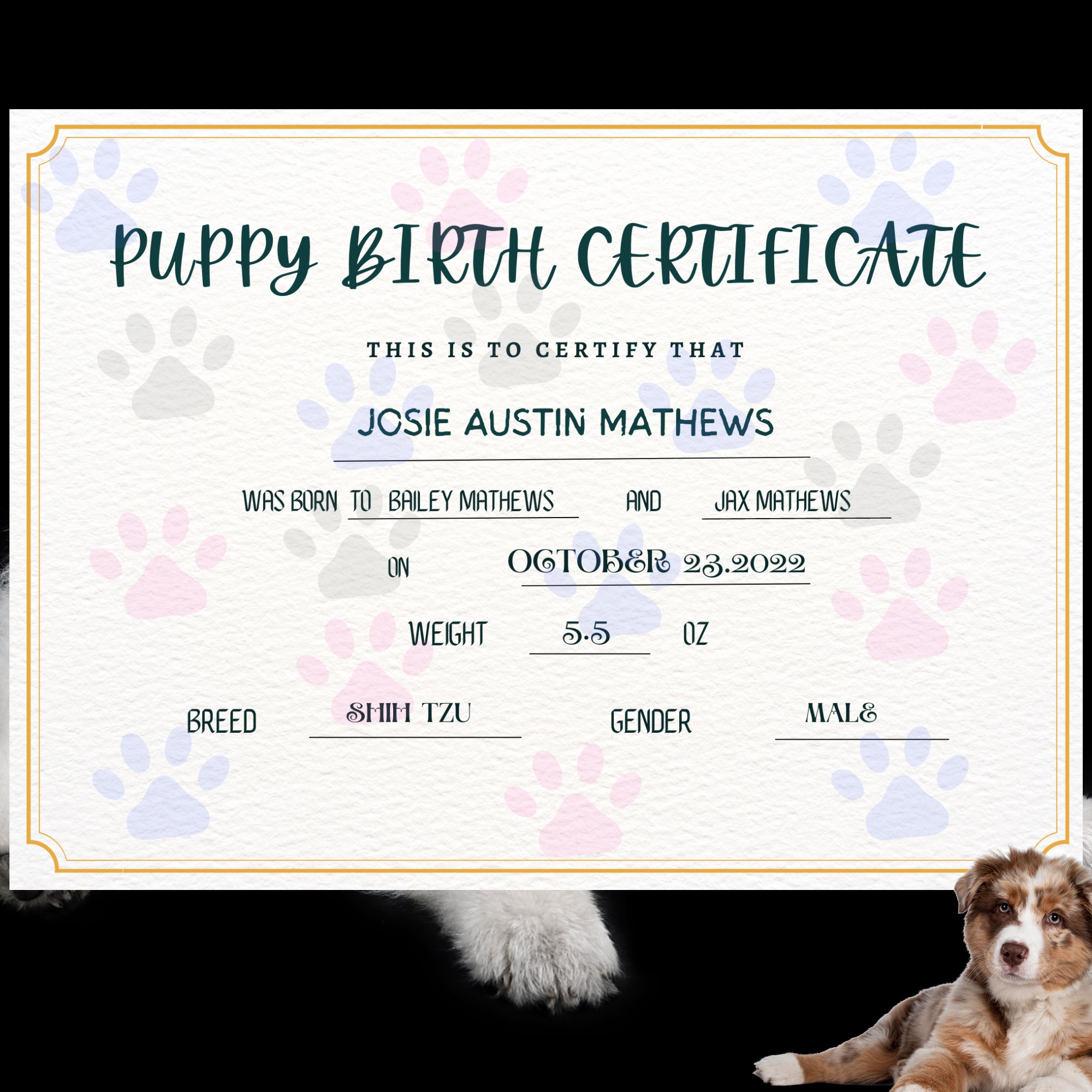 Puppy Birth Certificate Editable Dog Certificate Template Editable Certificate Puppy Printable Instant Download Breeder Birth Forms Etsy