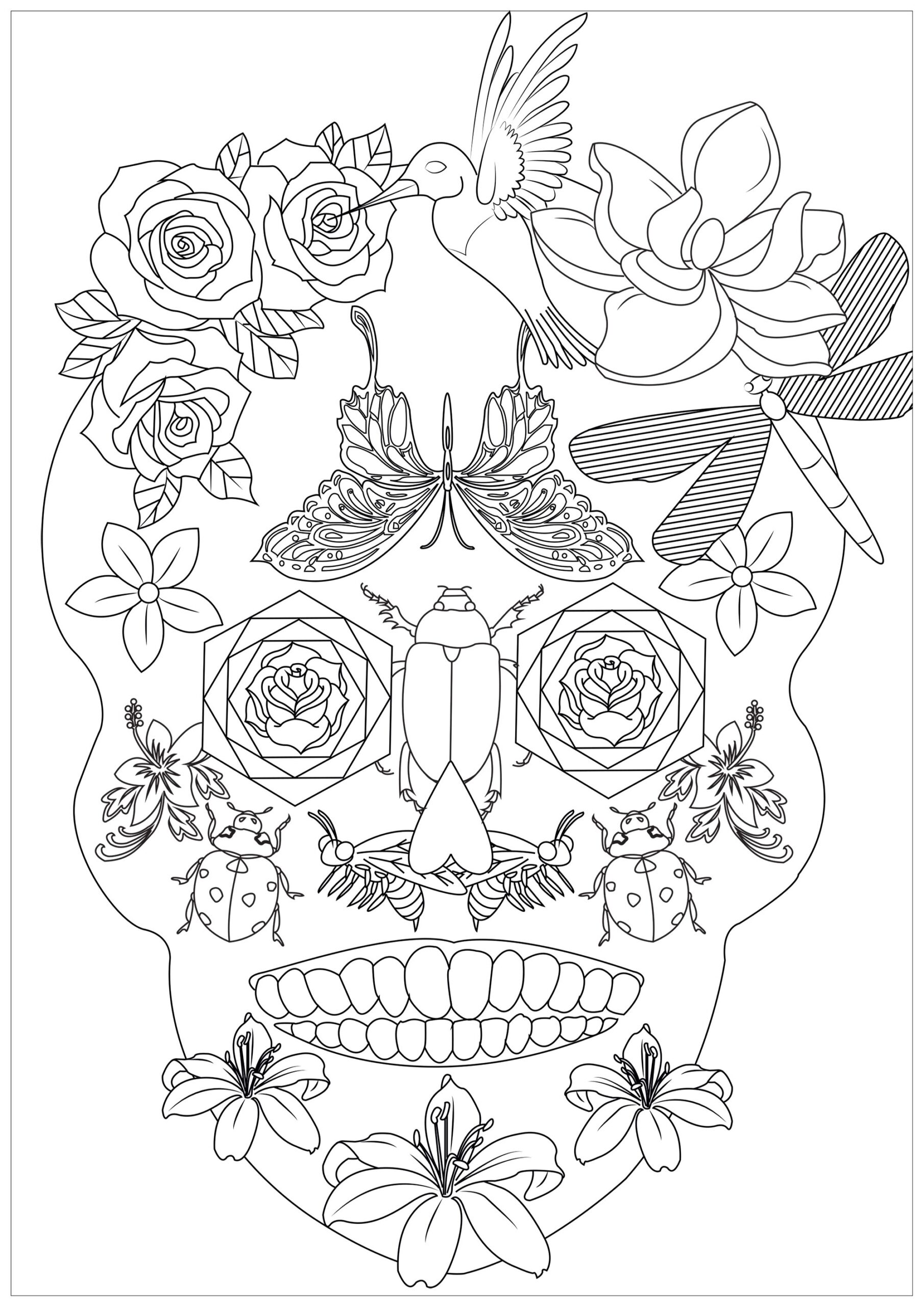 Savage Skull With Insects Caillou Coloring Pages For Adults