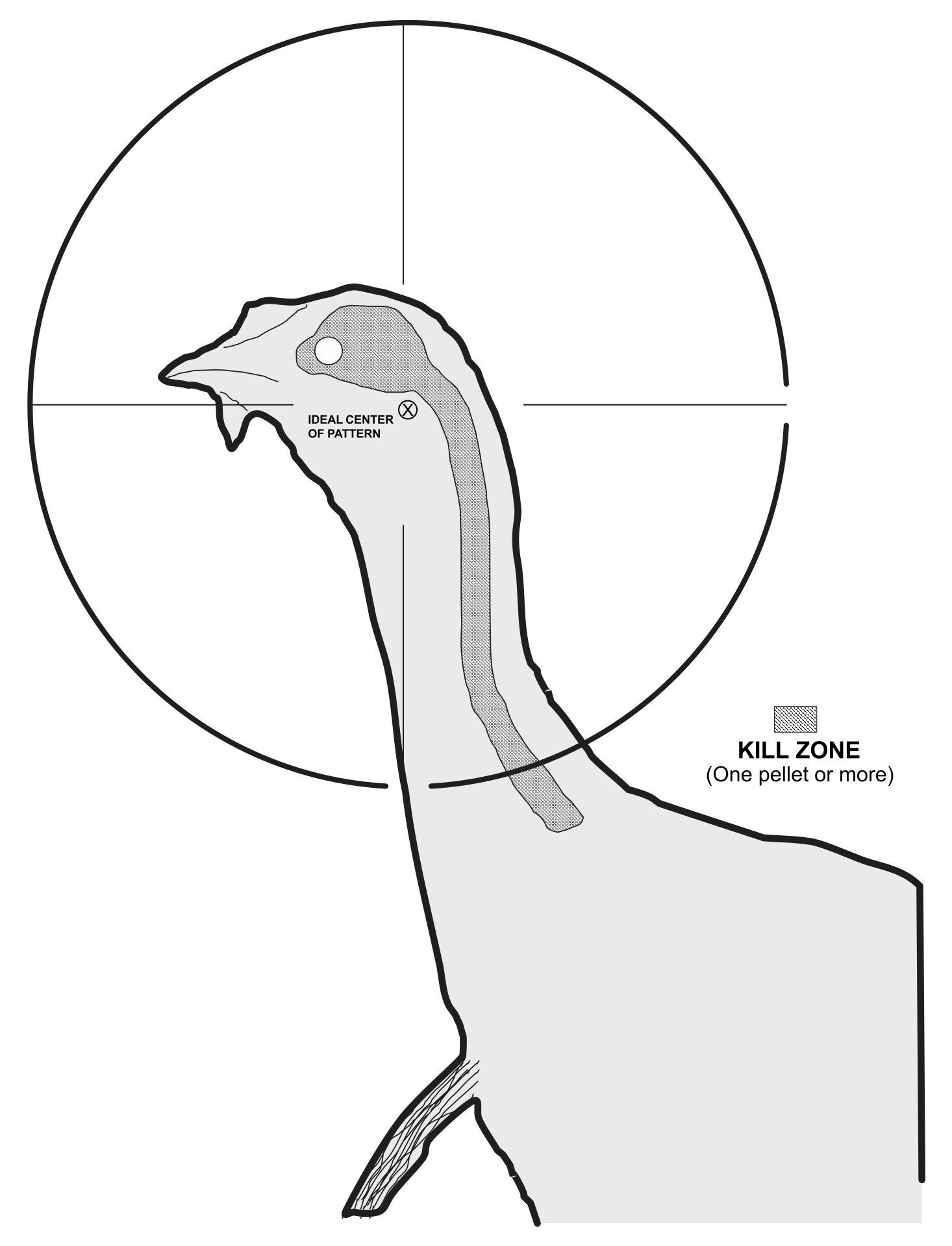 Turkey Target Real Size 10 Free PDF Printables Printablee