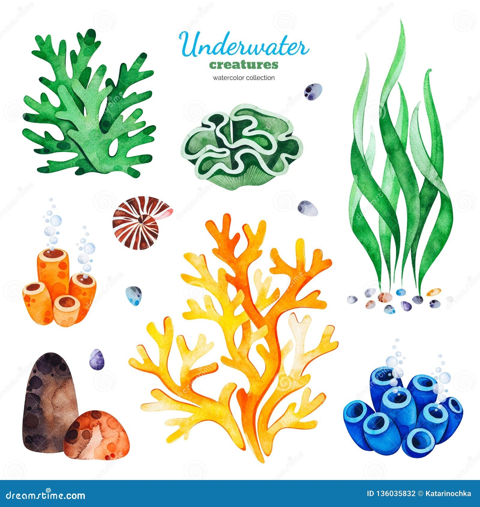 Watercolor Collection With Multicolored Coral Reefs seashells And Seaweeds Stock Illustration Illustration Of Design Background 136035832
