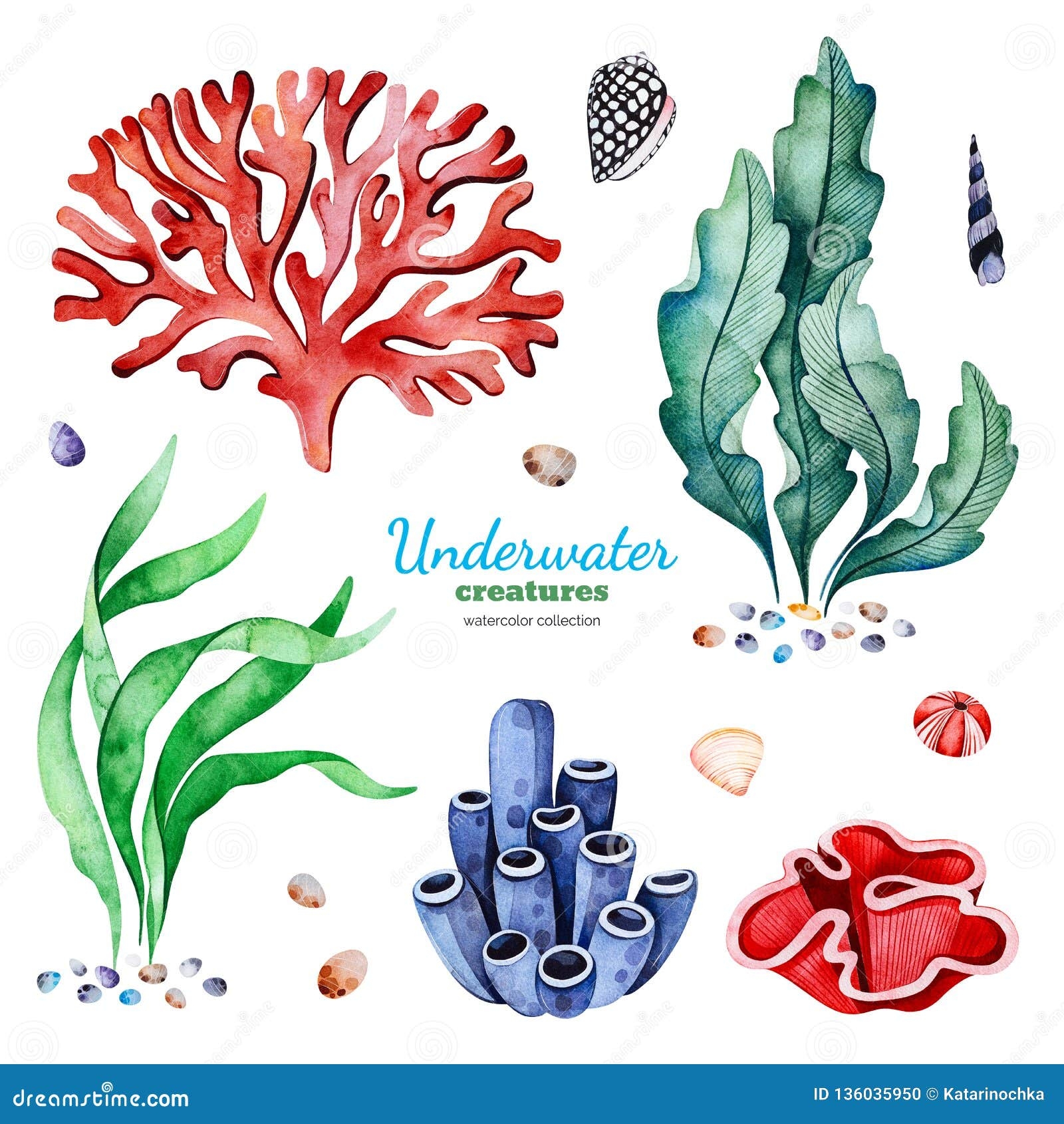 Watercolor Collection With Multicolored Coral Reefs seashells And Seaweeds Stock Illustration Illustration Of Seashells Nature 136035950
